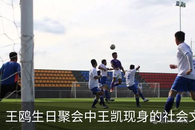 王鸥生日聚会中王凯现身的社会文化解读